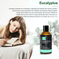 MAYJAM 3pcs/set Essential Oils 30ml Eucalyptus Sweet Orange Bergamot Aroma Oil For Diffuser